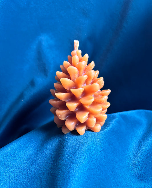 Pine cone beeswax candle