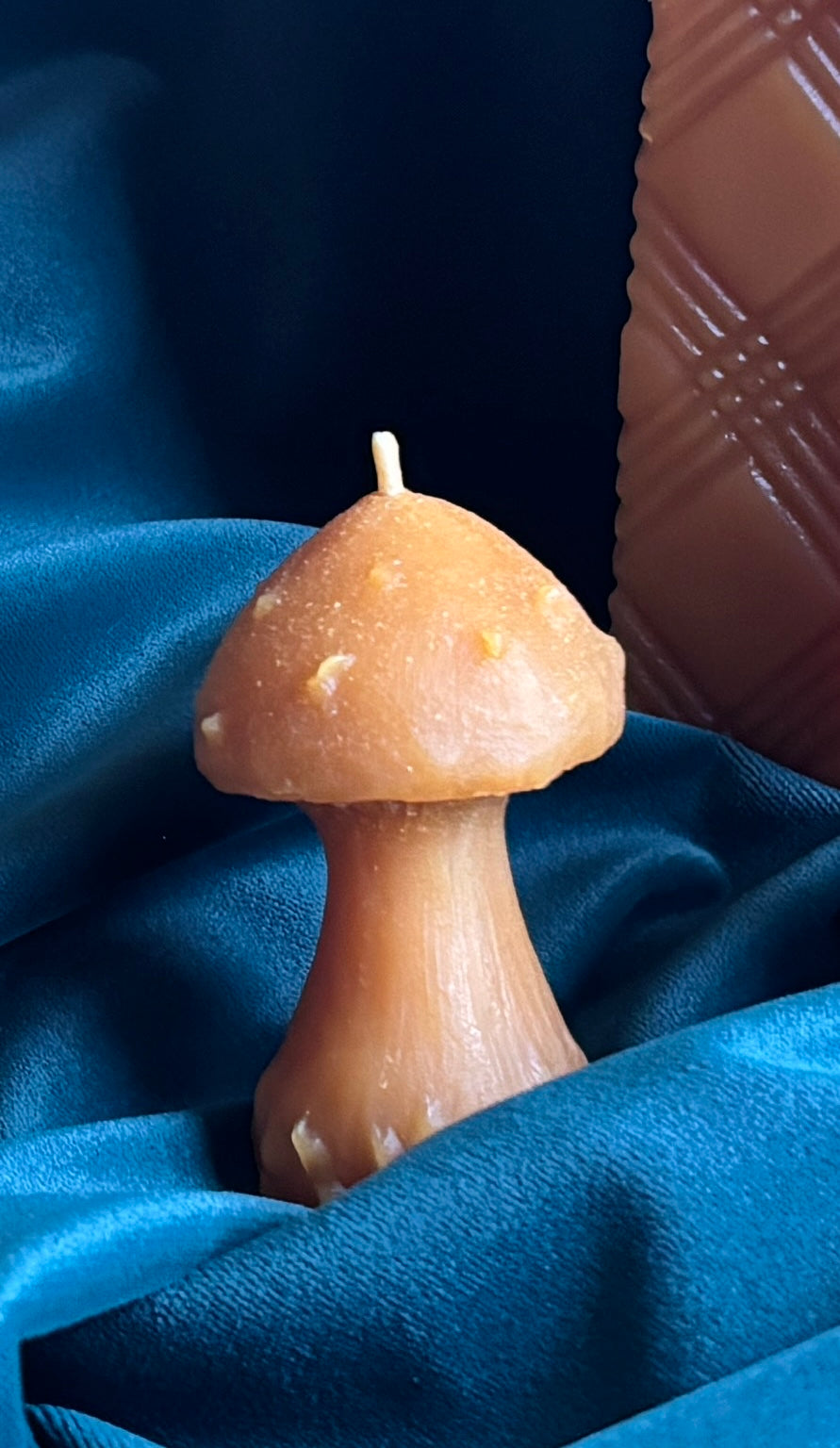 Mushroom Candle