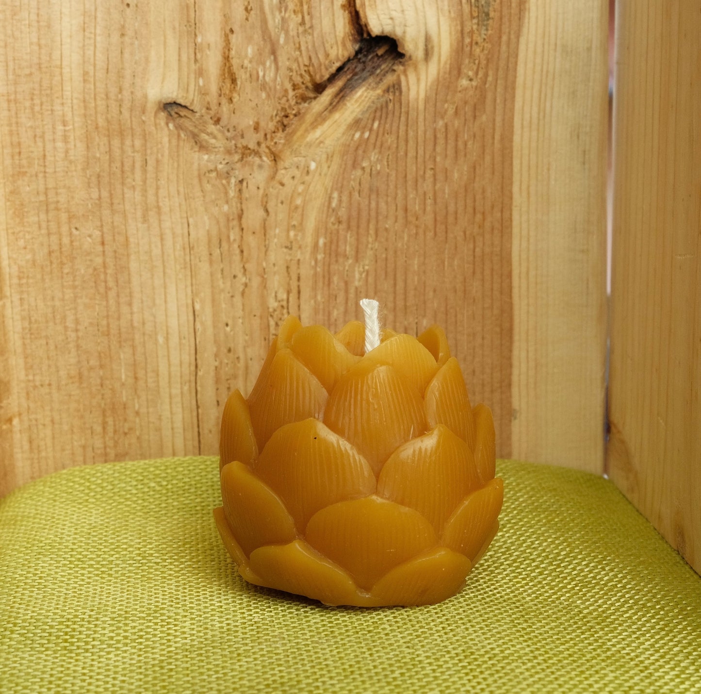 Beeswax Hops Candle